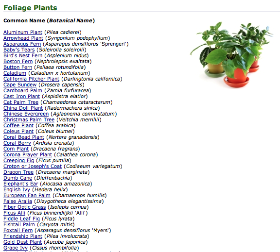 Plant Encyclopedia